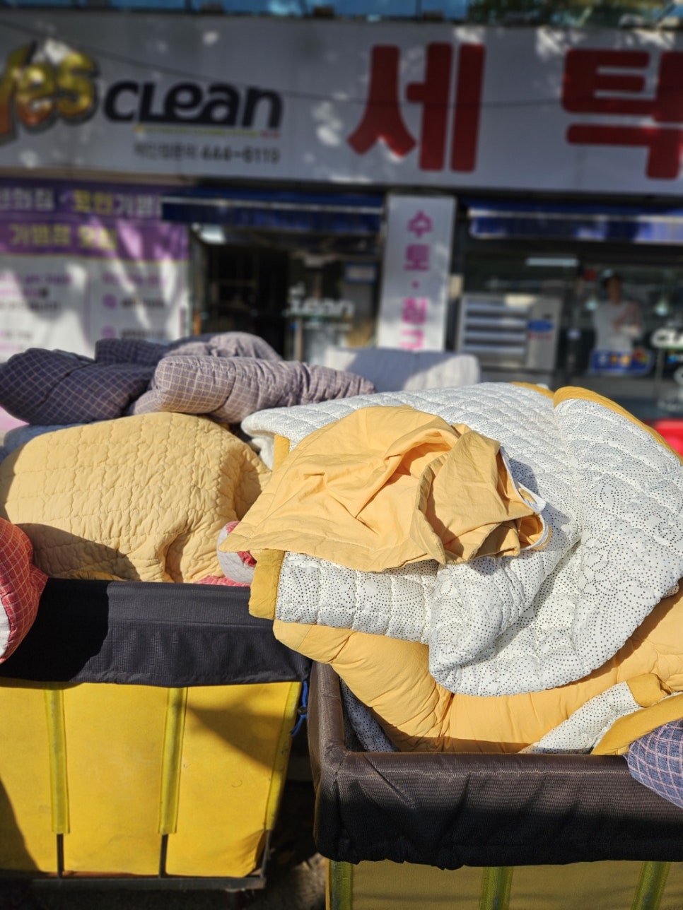 예스크린 이미지