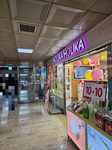 홀리카대전 이미지