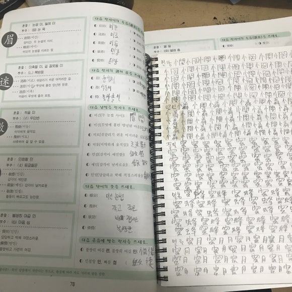 마행 이미지
