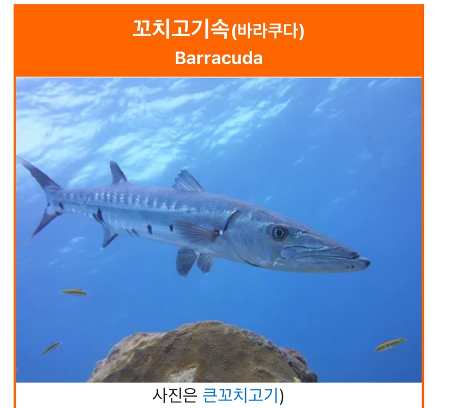 열꼬지 이미지