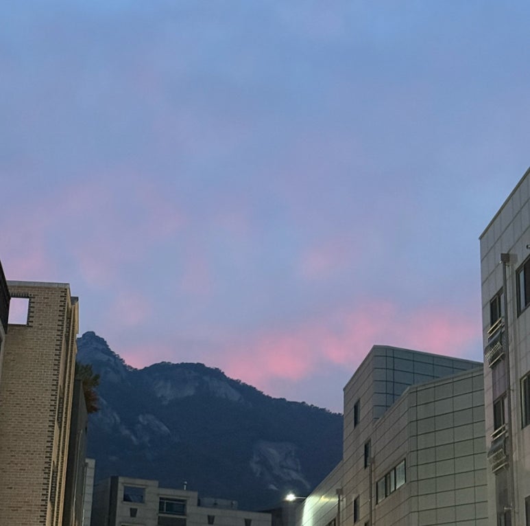 꼬테 이미지