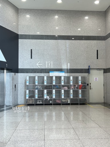 상상푸드2 이미지