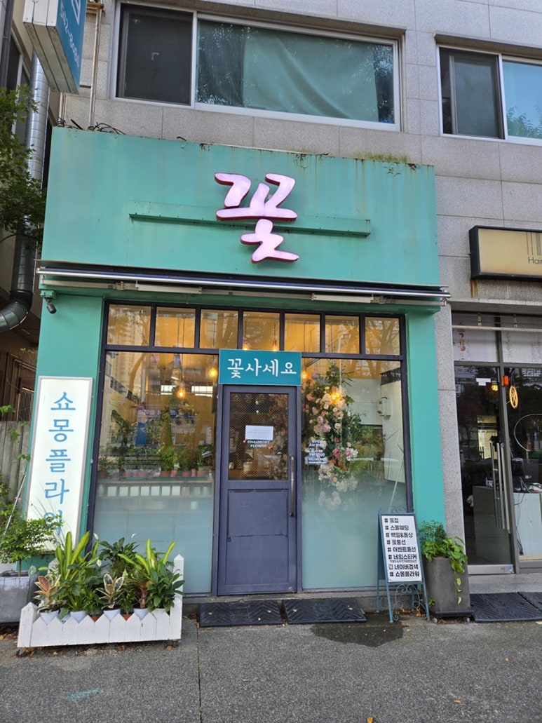 쇼몽플라워 이미지