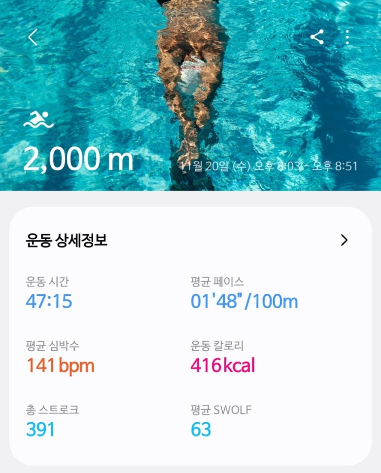 수영114 이미지