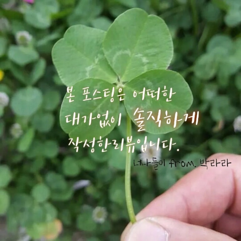 큰댁반찬 이미지