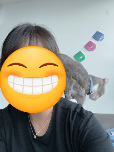 디그레이브 이미지