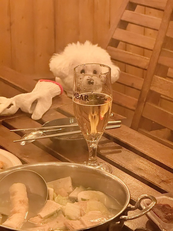하이펜션 이미지