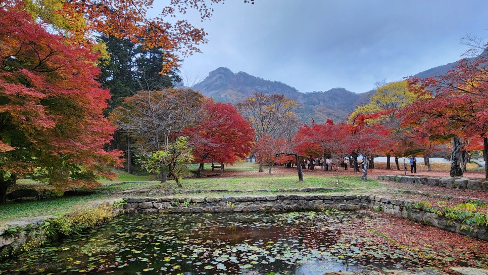 정은수산회타운 이미지