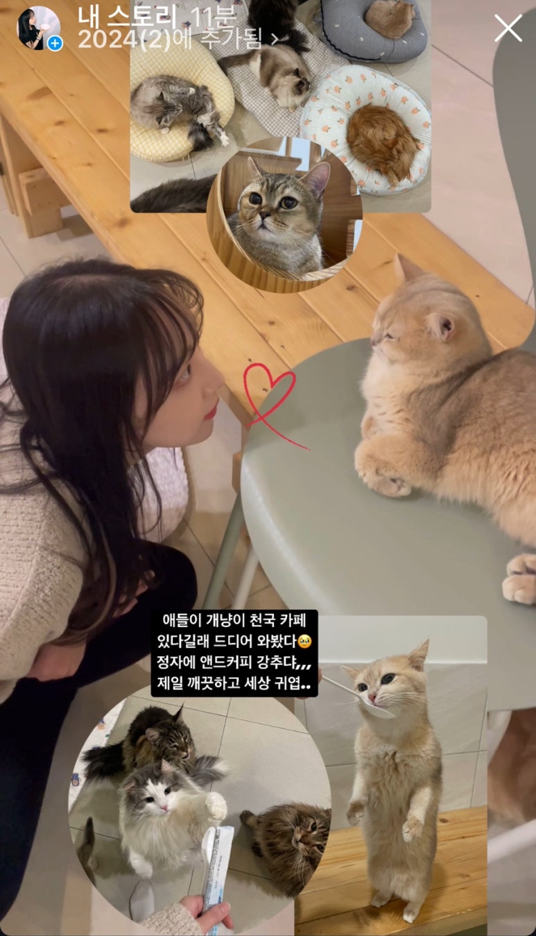 카페앤드스토리 이미지