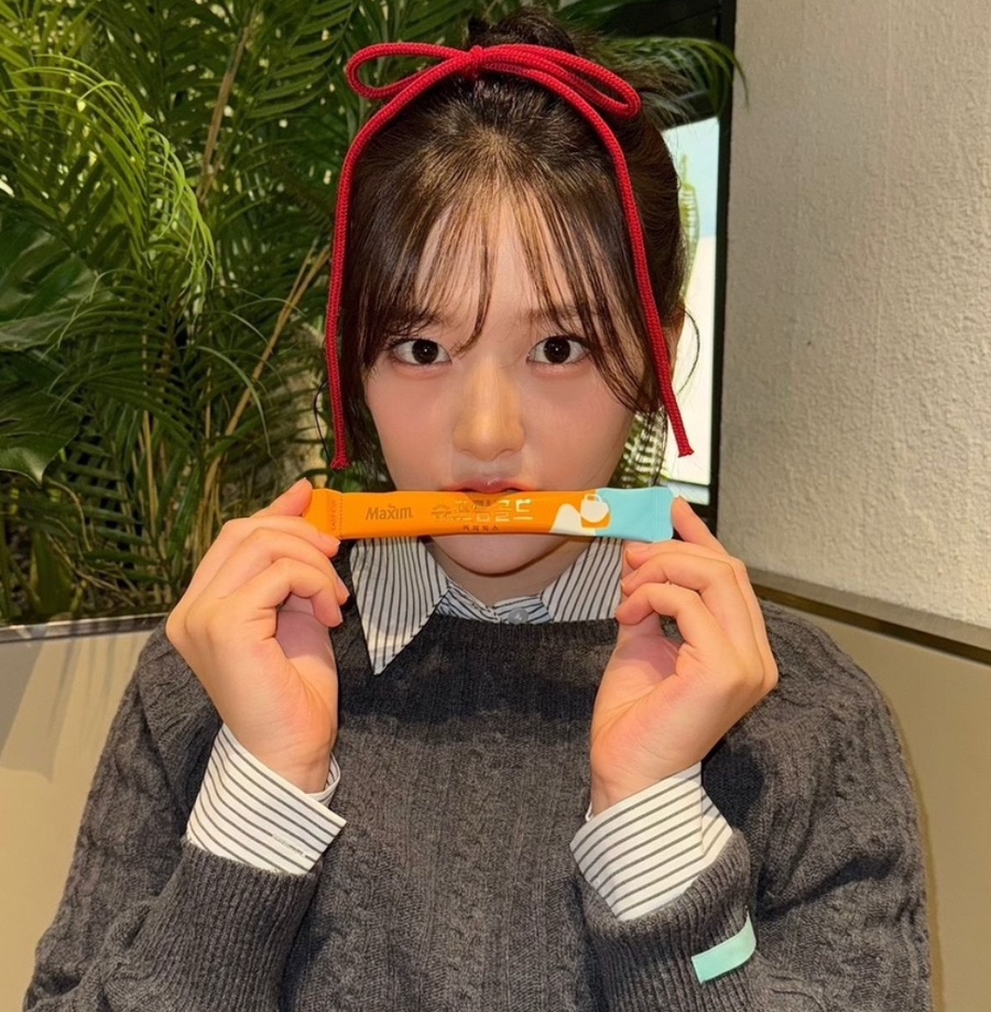 투어코디주 이미지