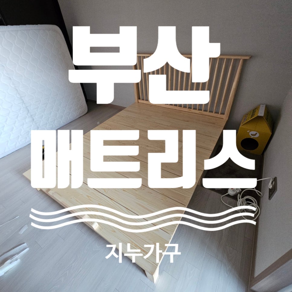 지누디자인 이미지