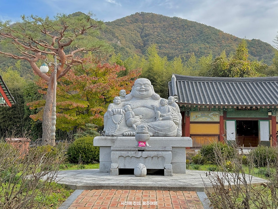 상관편백숲공방 이미지