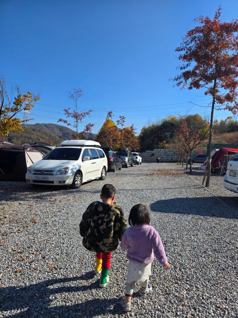진천포레스트캠핑장 이미지