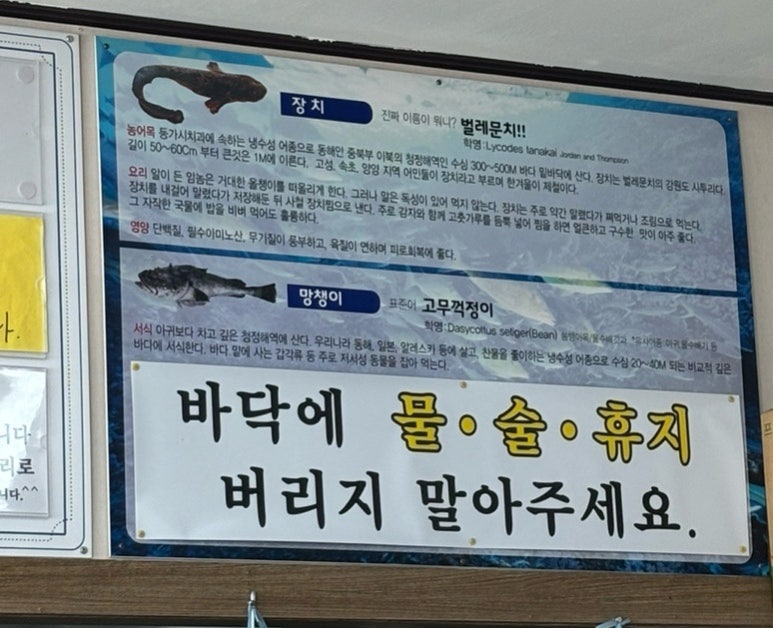 주문진순이네 이미지
