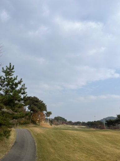 푸른솔과일 이미지