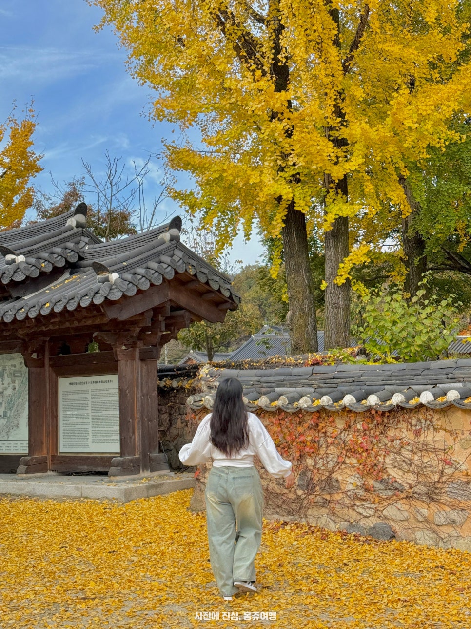상관편백숲공방 이미지