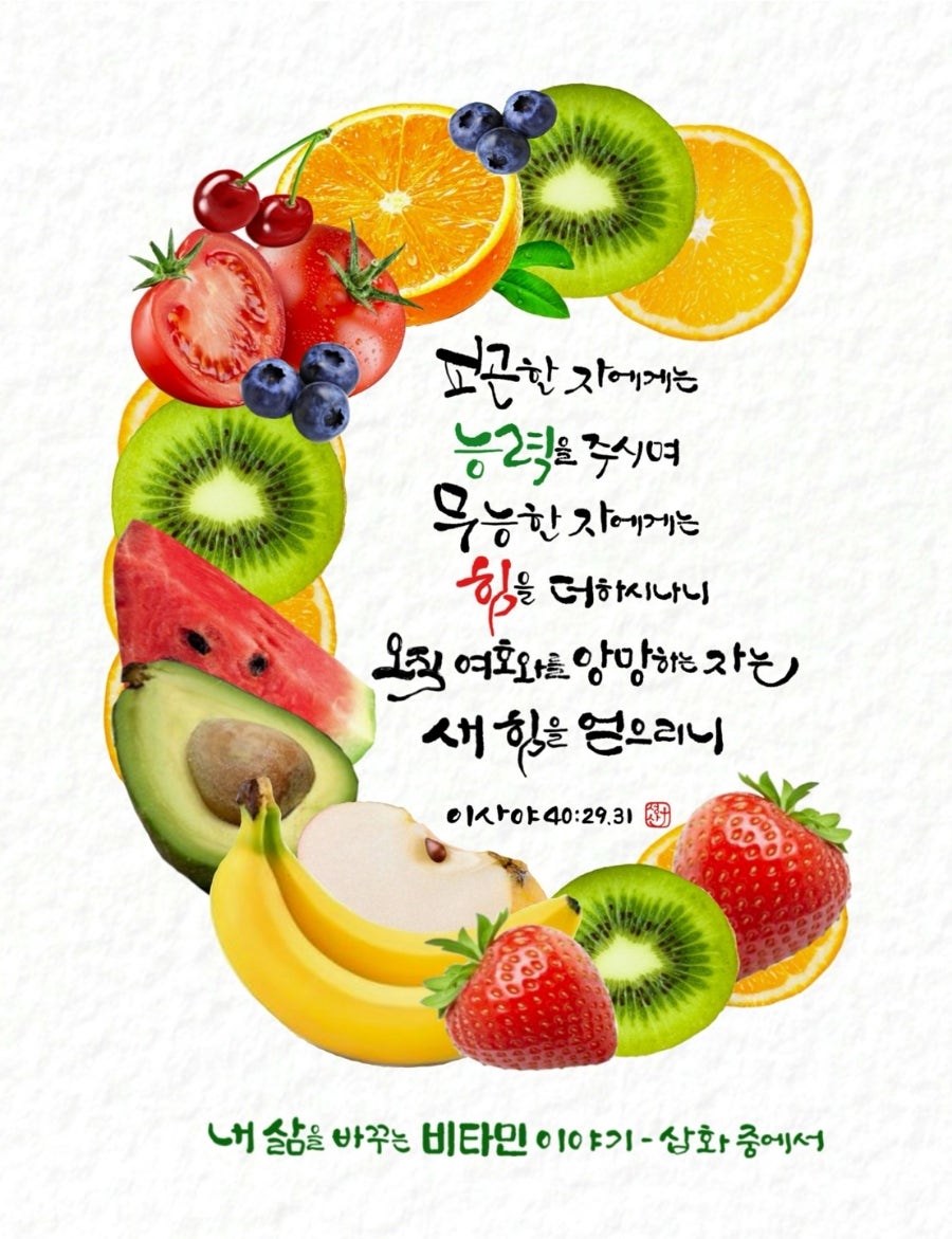 비타민이야기 이미지