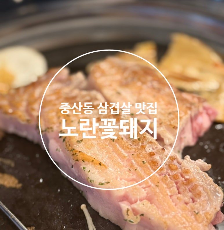 노란꽃돼지 이미지