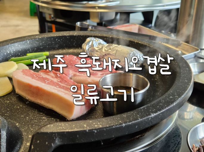 일류고기 이미지