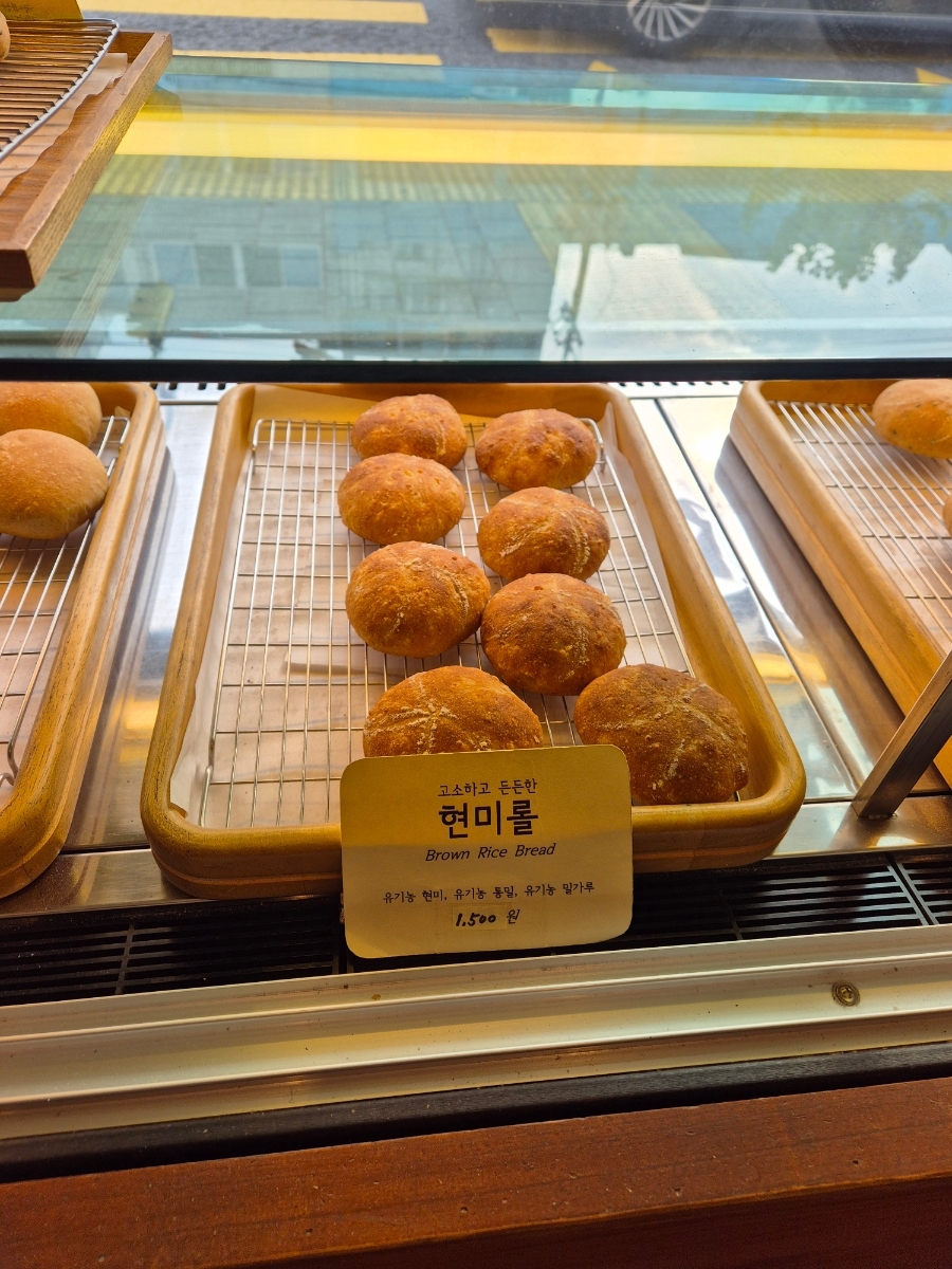 오늘 사진 6