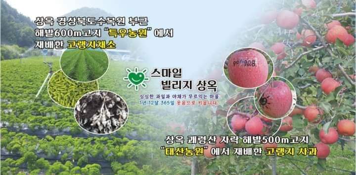 태산농원 이미지