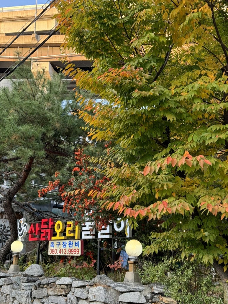 산닭오리불놀이 이미지