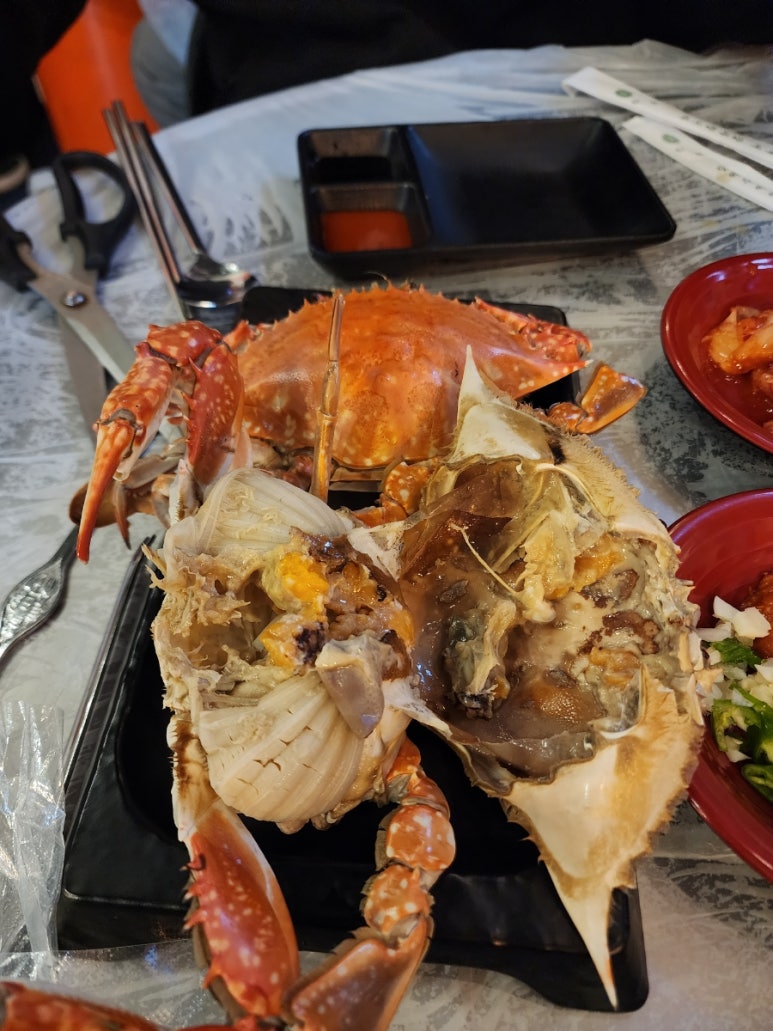 군산세꼬시 이미지