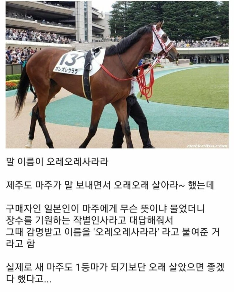 오레오레 이미지