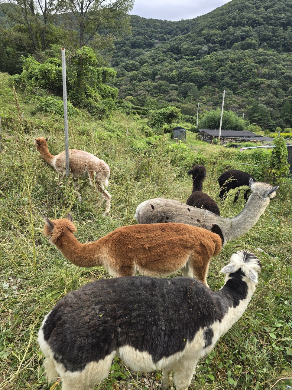 카페만나요 이미지