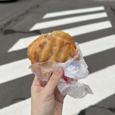 케이엔에이 이미지