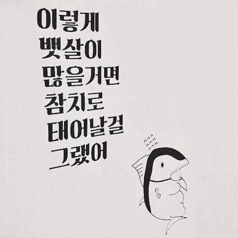 귀인참치 이미지