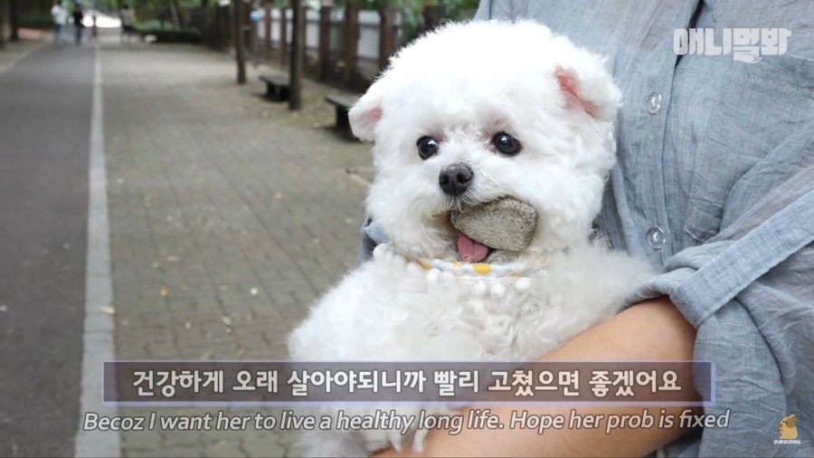 없음 이미지