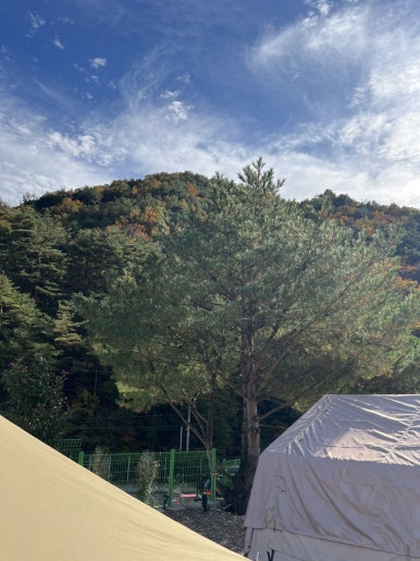 별비담캠핑장 이미지