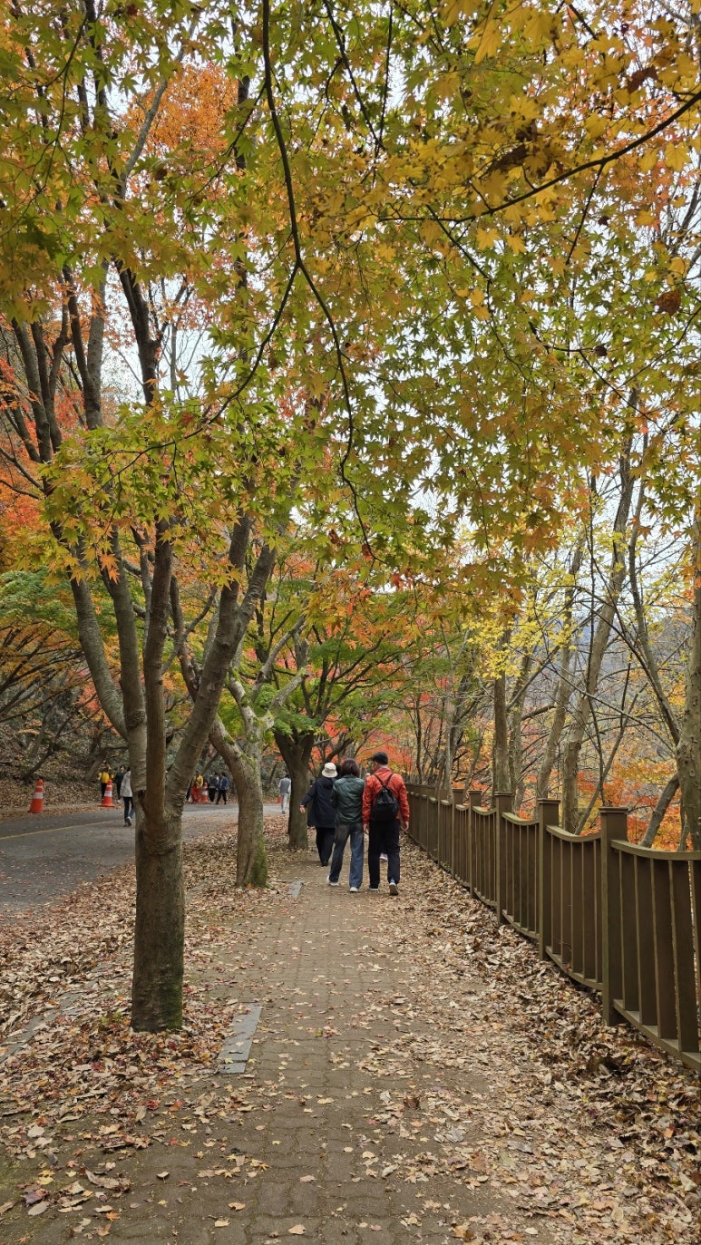 (주)도담투어 이미지