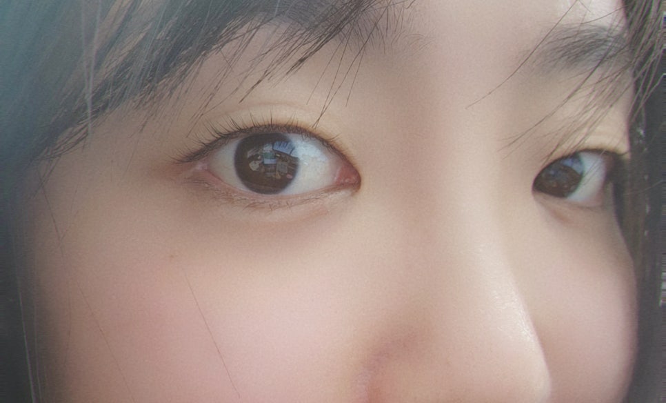 담아놓다 이미지