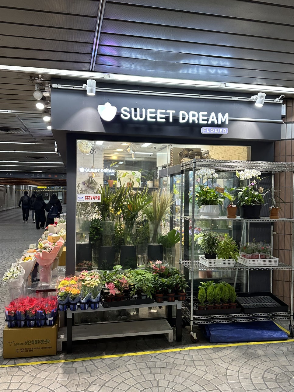 스위트드림플라워 이미지