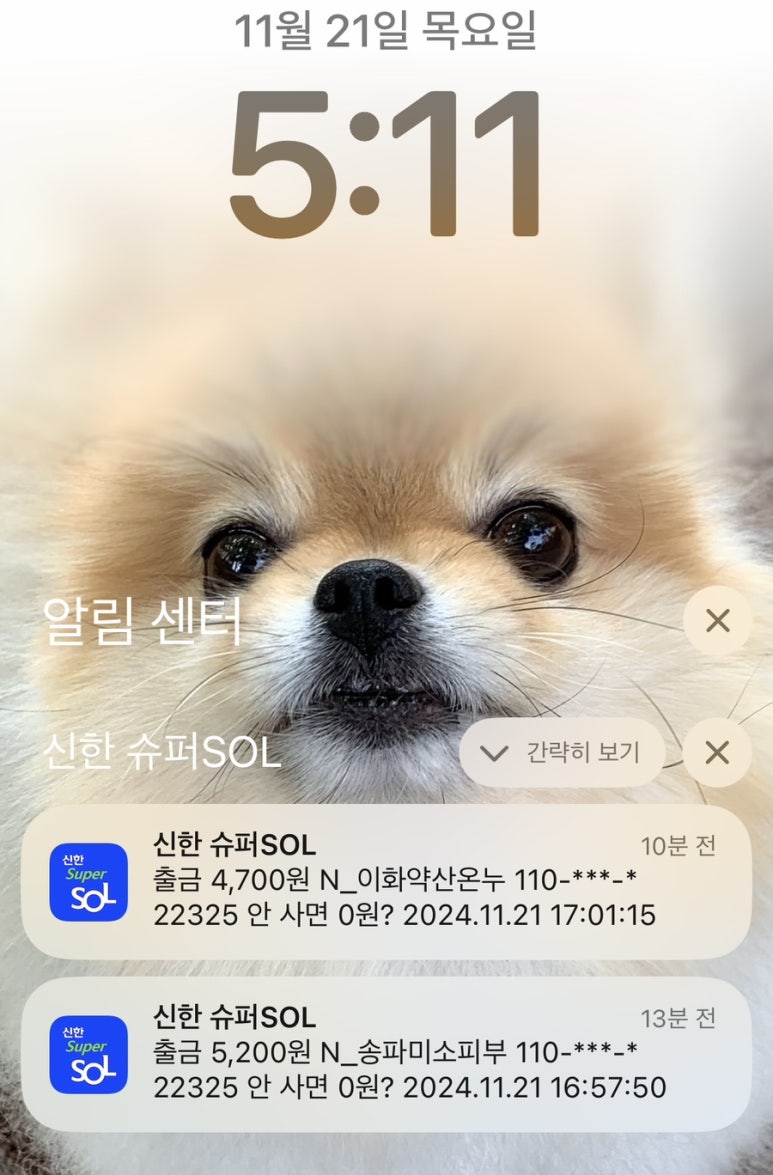 송파미소피부과 이미지