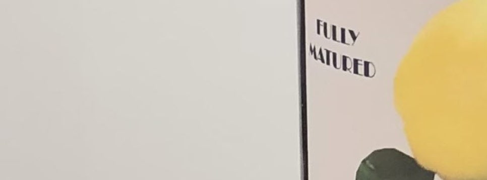 분당미금한의원 이미지