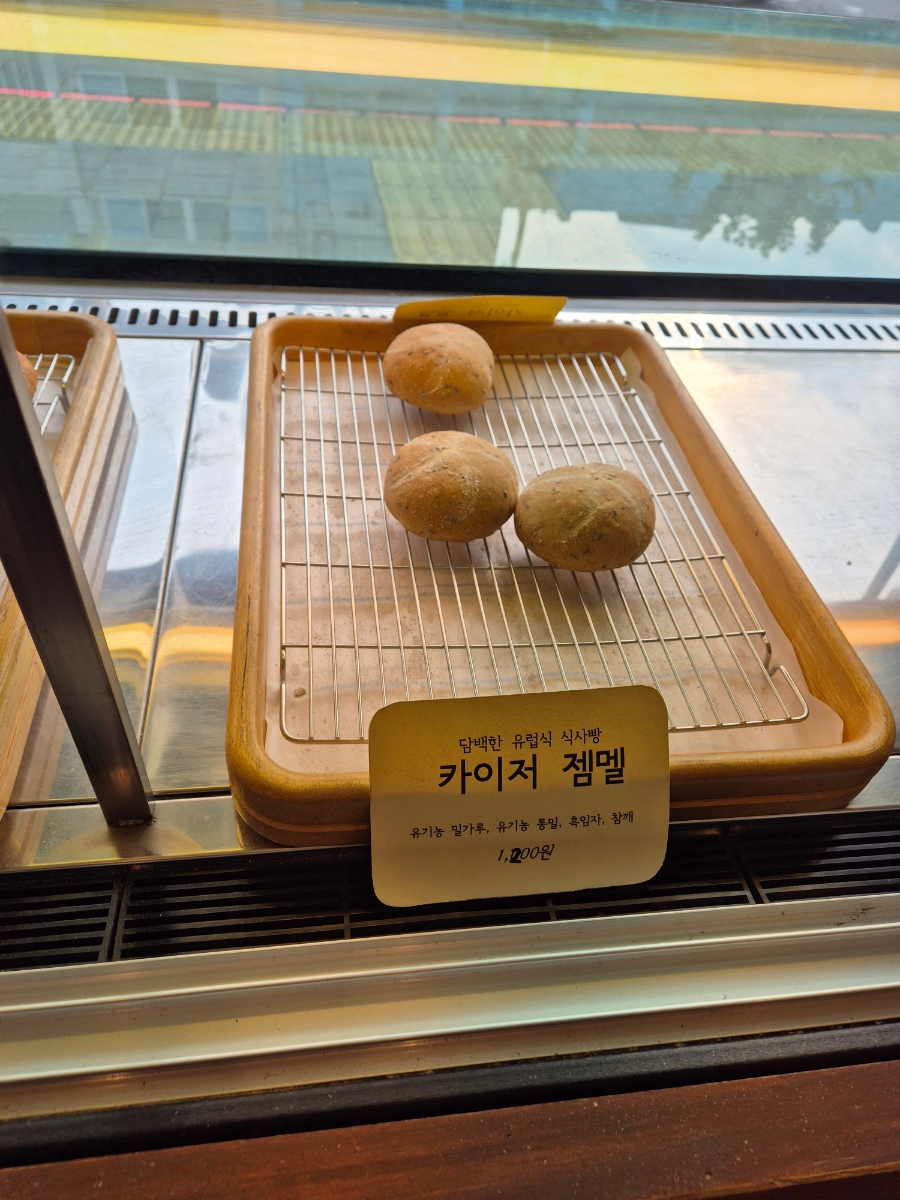 오늘 사진 7