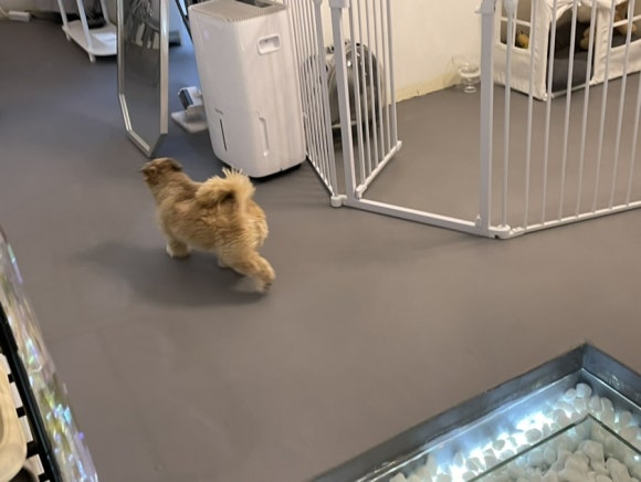 [상왕십리]왕십리 속눈썹펌은 바로여기! 한올한올 싹 올라간 속눈썹 : 썸원뷰티