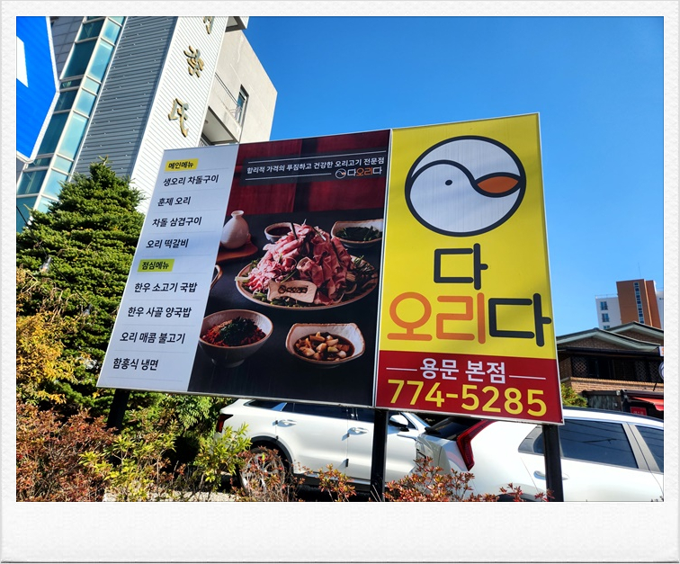 우리오리다오리 이미지