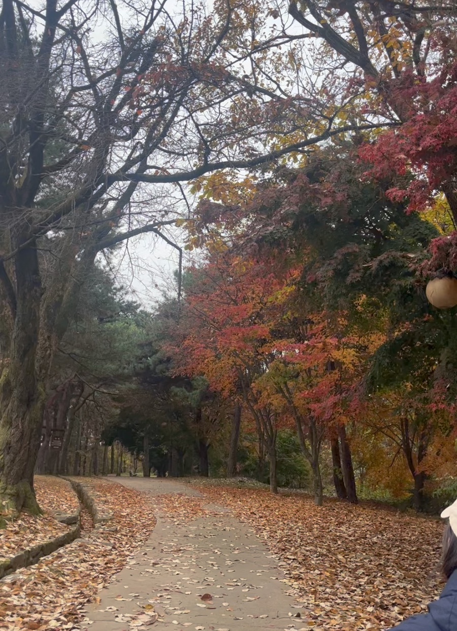 최피디해물칼국수 율량사천점 이미지