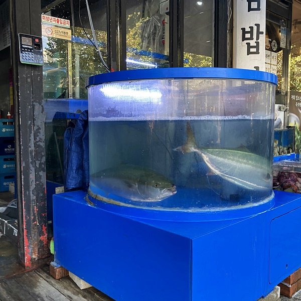 매곡수산 이미지