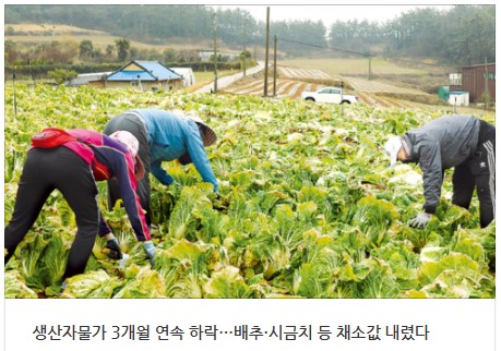 무지개농약사 이미지