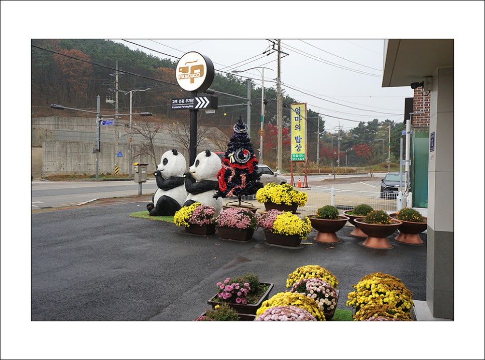 카페파스쿠찌 이미지
