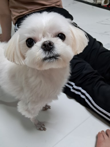 뷰티라움 이미지