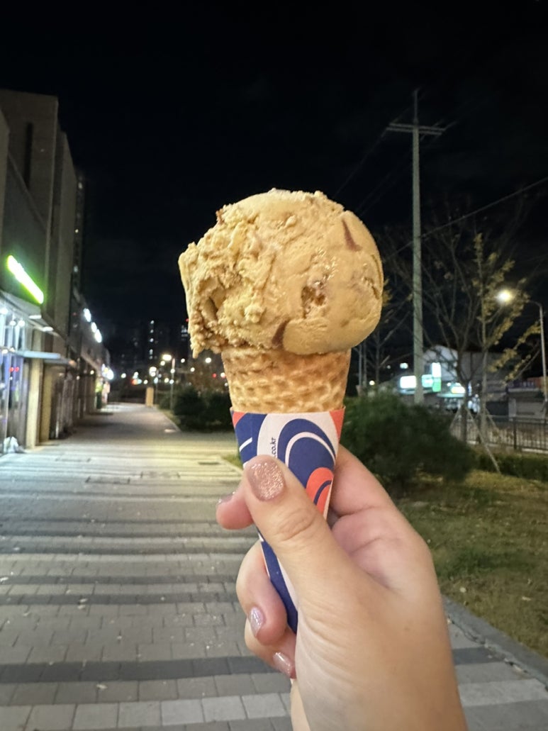 도토리 스시 이미지