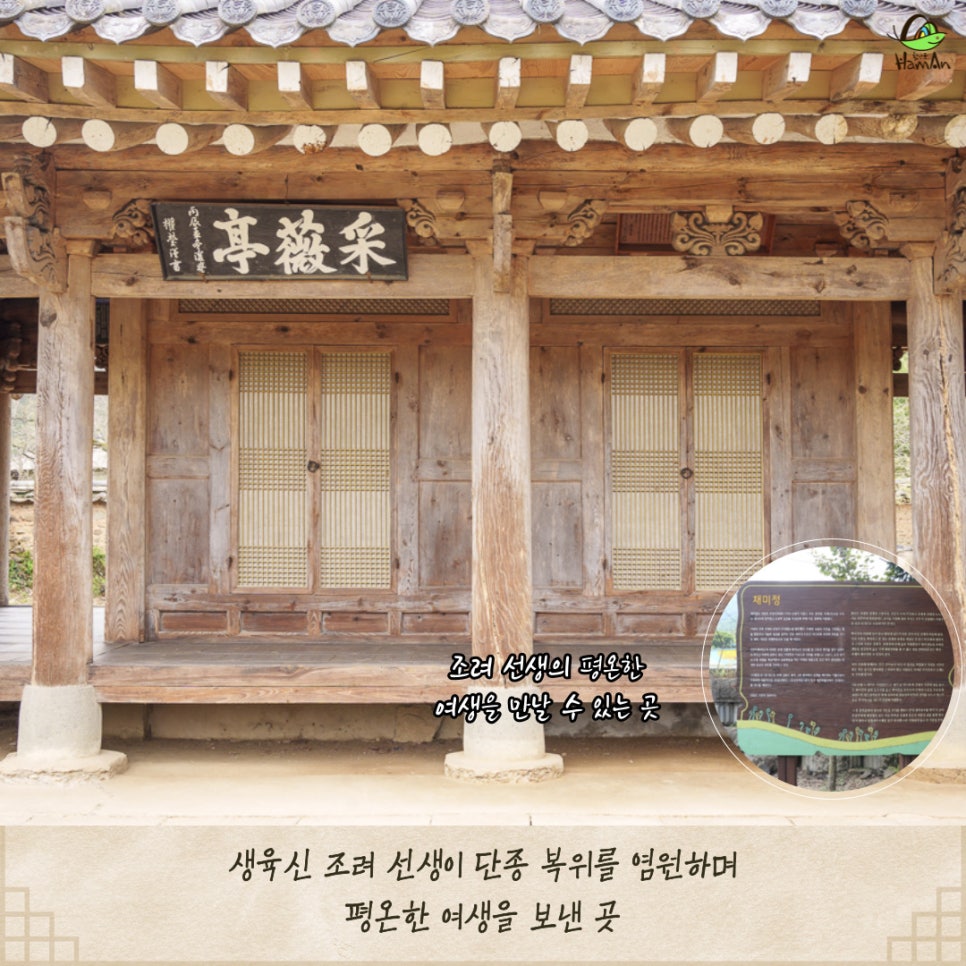 노바블룸디자인 이미지