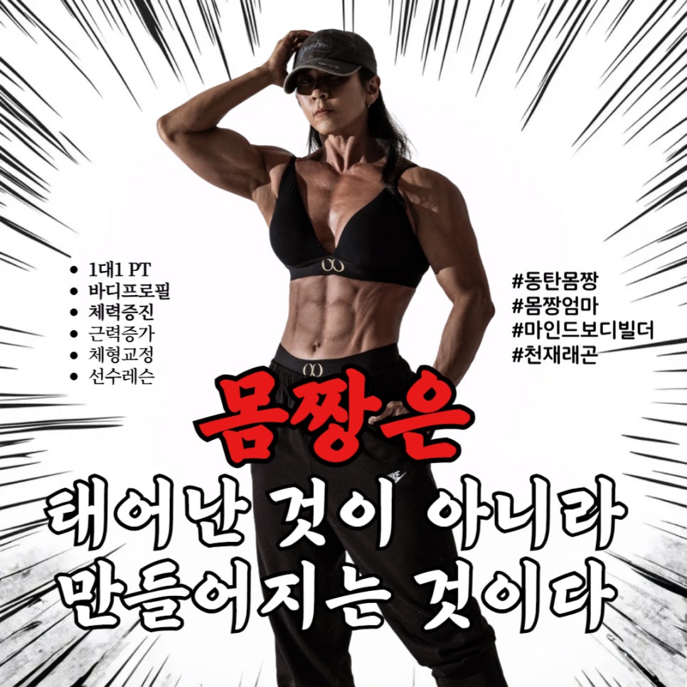탑바디핏 이미지