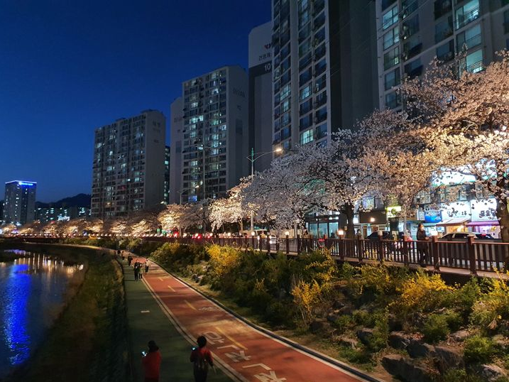 창동수산 이미지